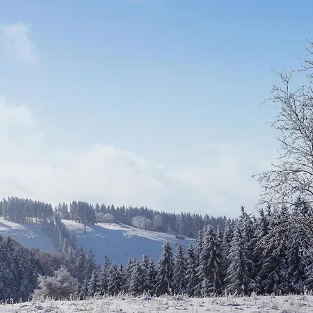 Ferienhauspark Hasselfelde