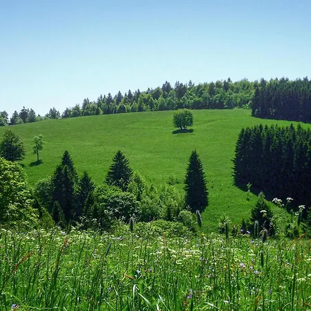 Ferienhauspark Holiday home Hasselfelde
