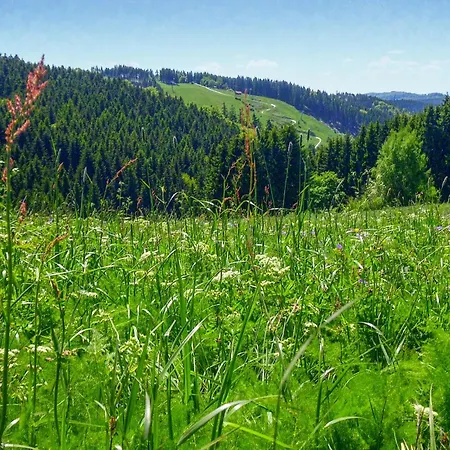 Ferienhauspark Hébergement de vacances Hasselfelde
