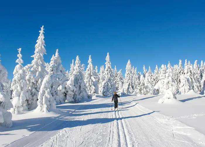 Ferienhauspark * Hasselfelde