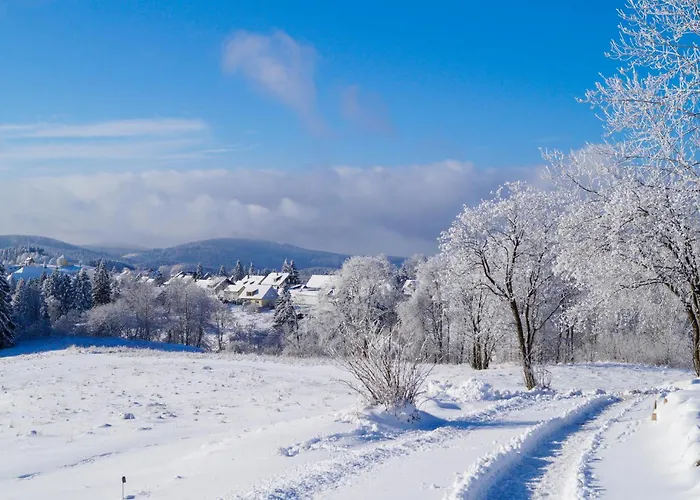 Ferienhauspark Hasselfelde