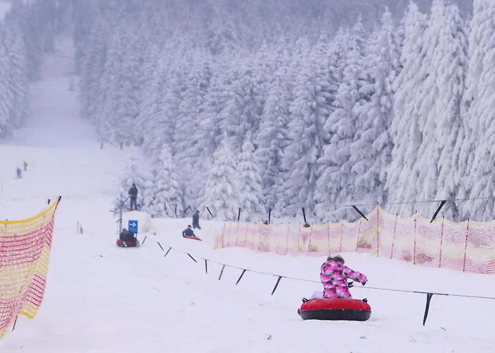 Ferienhauspark * Hasselfelde