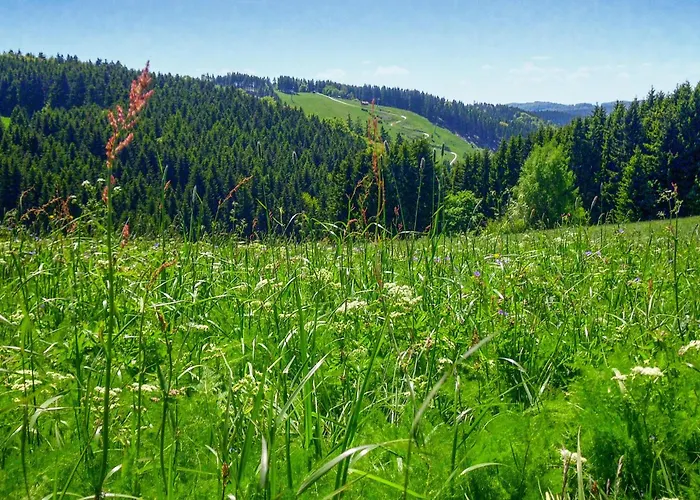 Ferienhauspark Tatil Evi Hasselfelde